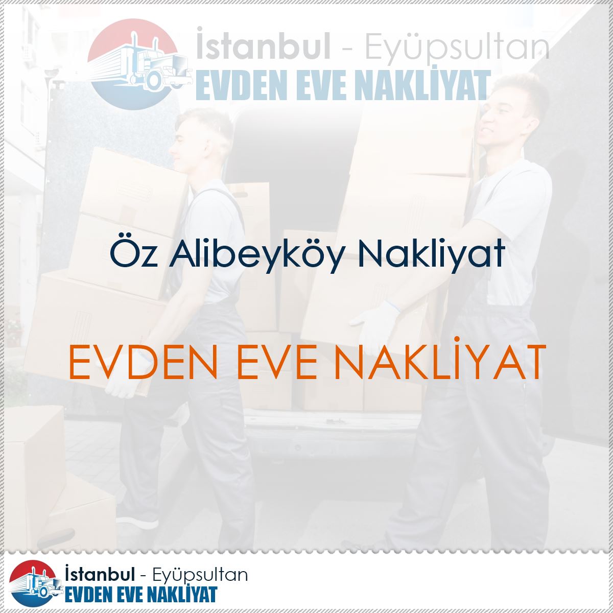 Öz Alibeyköy Nakliyat : Kapak Görseli